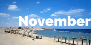 11. November