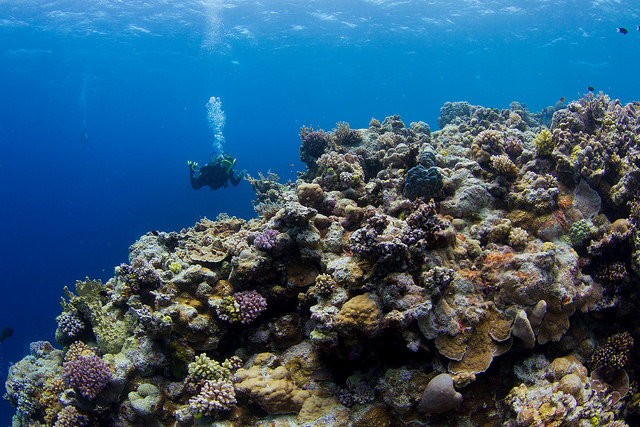 Great Barrier Reef Marine Park