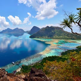 Travel Insurance