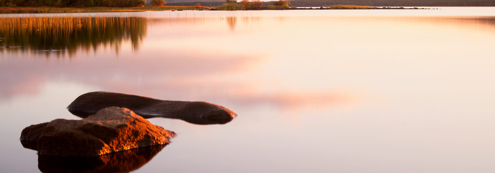 Fun and Adventure in Finland