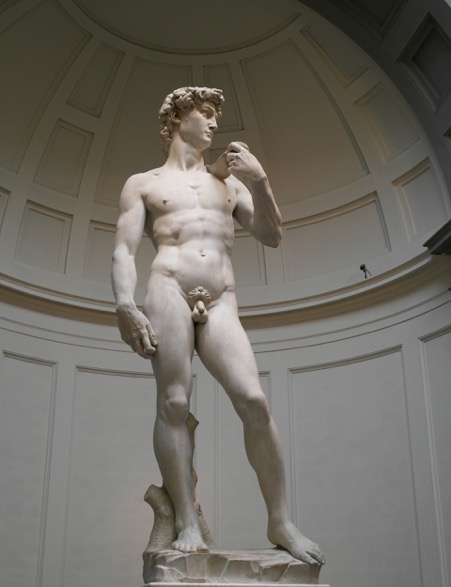 Image of Michelangelo's David