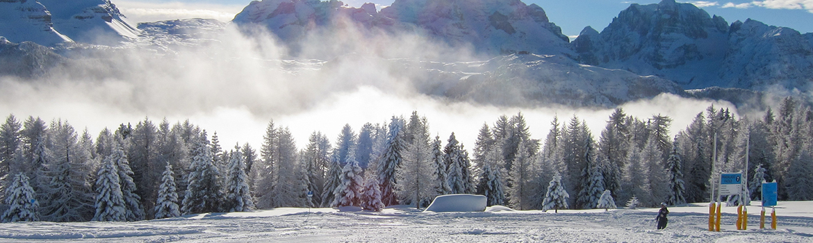 active holiday, skiing, snow