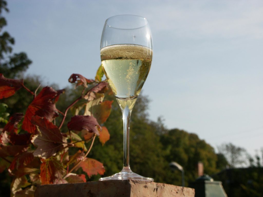 Image of Champagne Glass