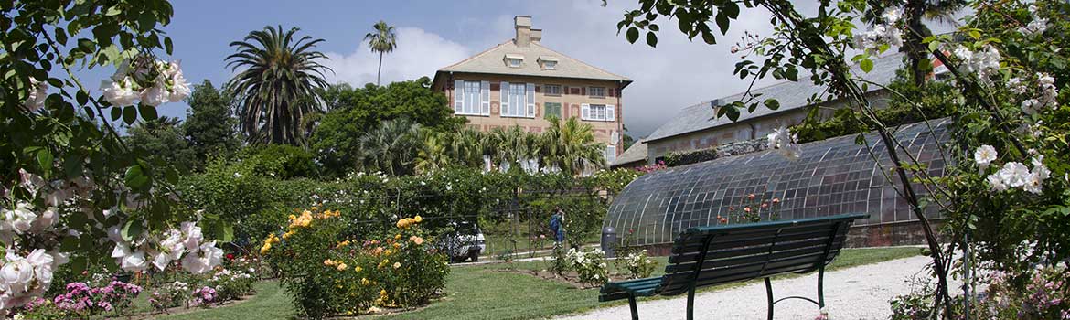 Image of Nervi Gardens