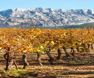 Image of Mont Saint Victoire