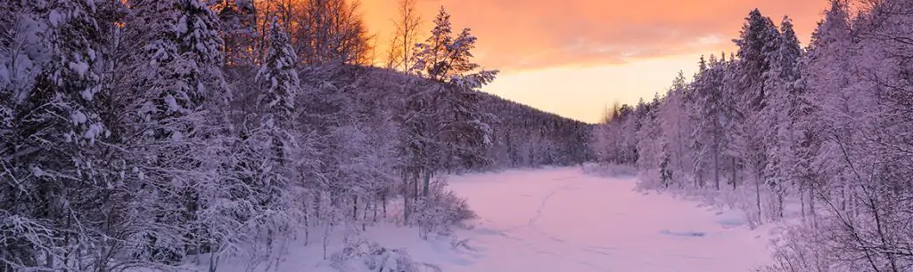 A snow covered forest with an orange sunset