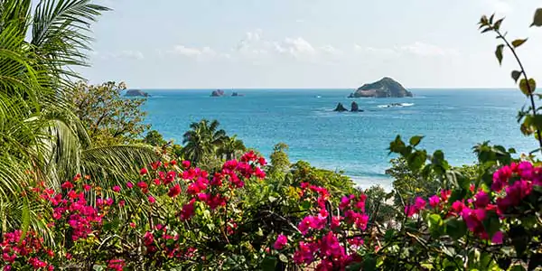a beach from the forest in Cuba with pink flowers in the foreground
