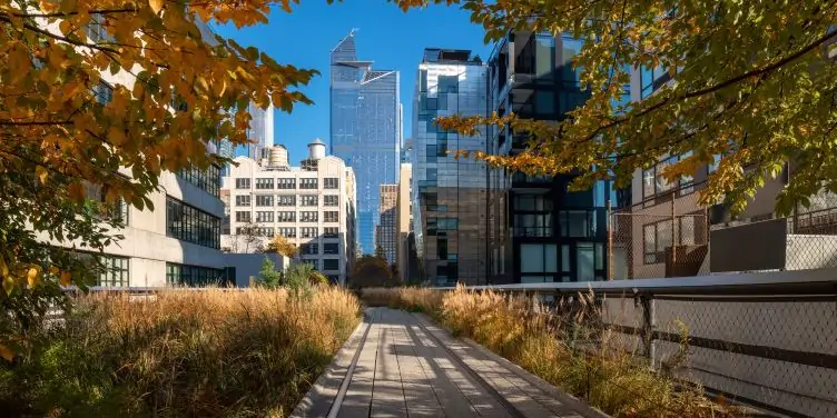 View of the highline promenade in New York with Manhattan skyscrapers in the background. 