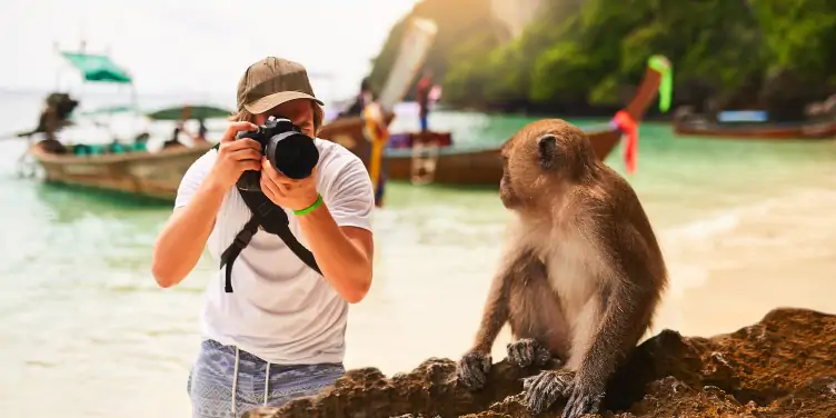A tourist takes a photo of a monkey on the beach during a photography holiday.