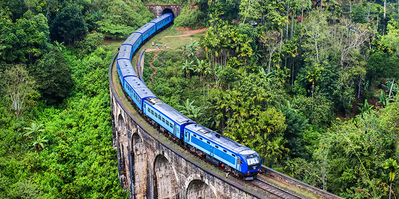 A blue train on a large aqueduct bridge surrounded by trees