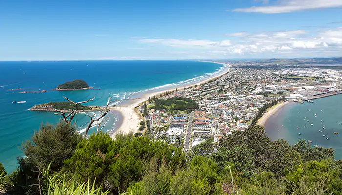 a seaside town in New Zealand