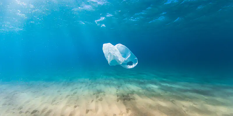 a plastic bag floating in the ocean