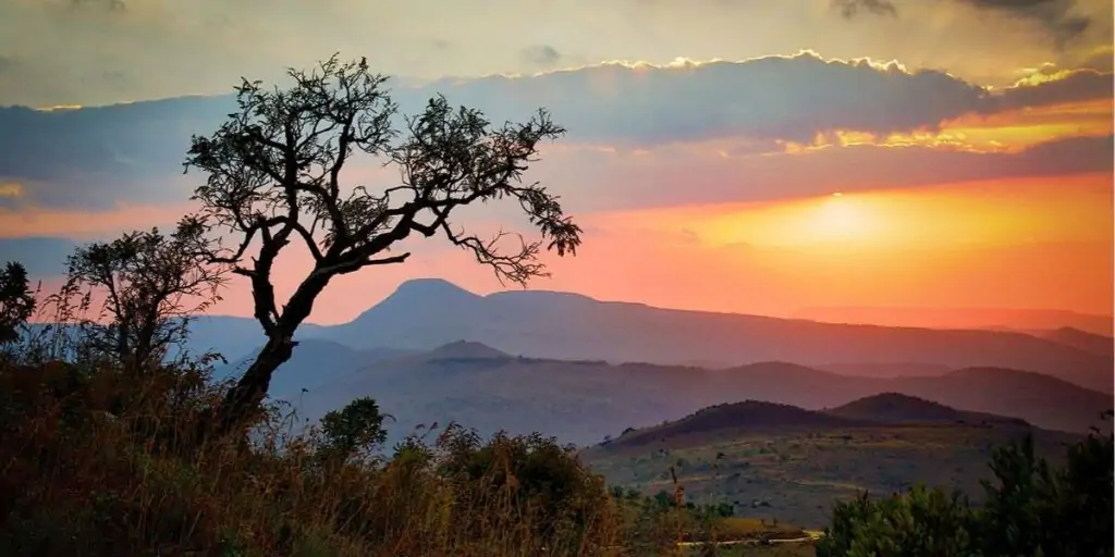 sunrise over the savannah