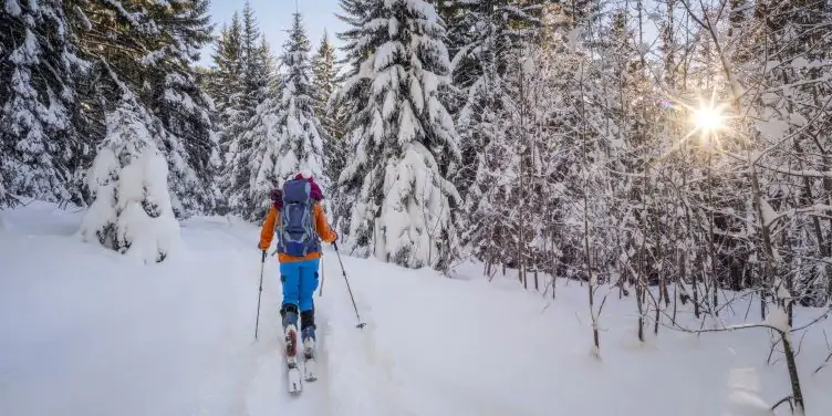 Back view of a nordic skier hiking through the alps