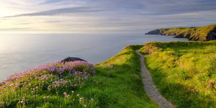 Coastal path in Ceibwr Bay, Pembrokeshire