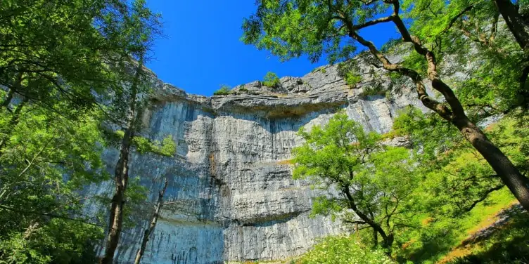 Looking up at Malham Cove, a large curved limestone formation surrounded by trees