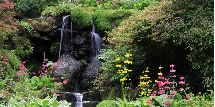 an image of the waterfall at Bodnant Gardens, Conwy