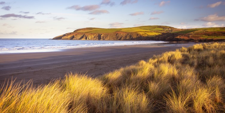 Sand dunes and beach in Pembrokeshire