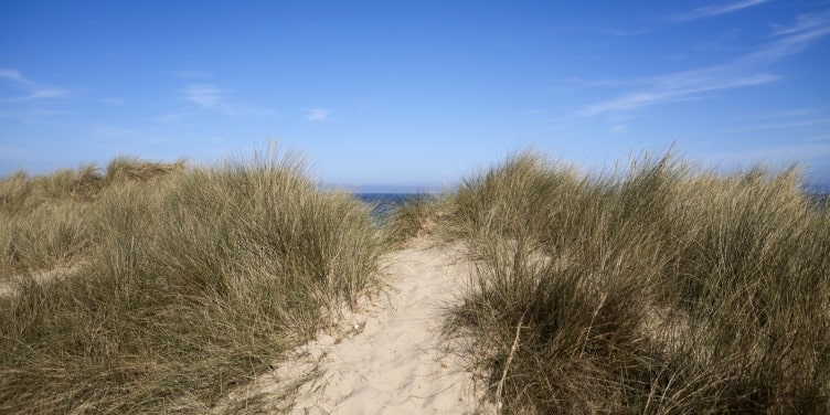 Beach dunes in Winterton-on-Sea Norfolk