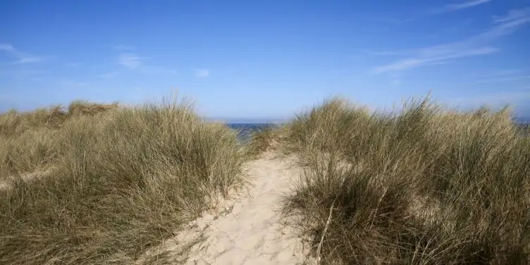 Beach dunes in Winterton-on-Sea Norfolk
