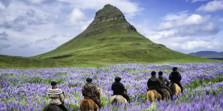 Tourists horse riding near Kirkjufell mountain