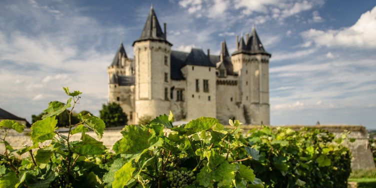 an image of Saumur Chateau and its vineyard