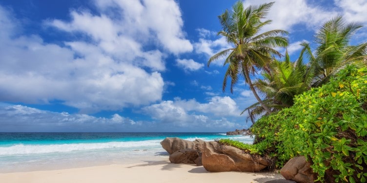 White sand beach in Seychelles