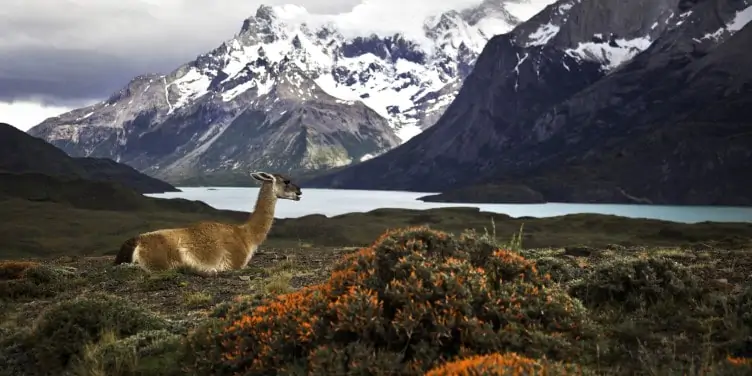 Torres del Pane National Park scenery