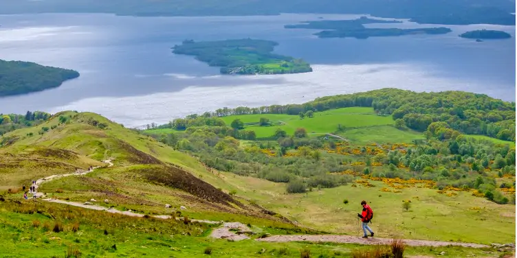 An image of a walking path in Loch Lomond and The Trossachs National Park, on the West Highland Way