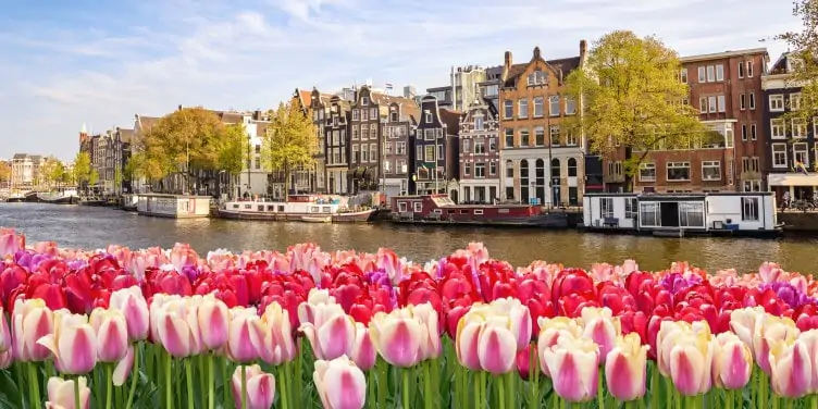 Canal waterfront in Amsterdam with tulips