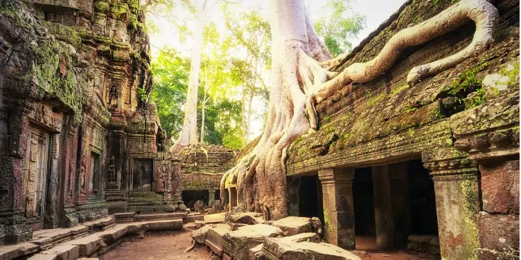 Old temple ruins in Angkor Wat, Cambodia