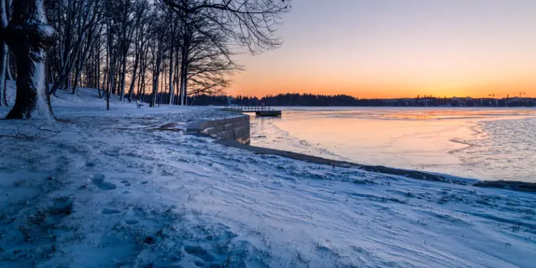 an image of a park walk during winter in Tampere, Finland