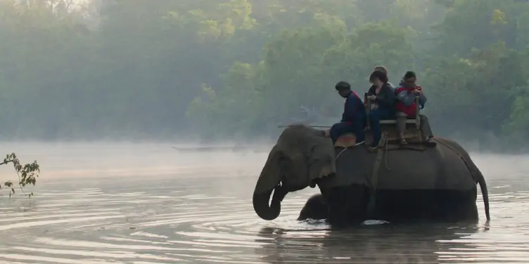 an image of an elephant on safari in Nepal traversing through a river with tourists on its back