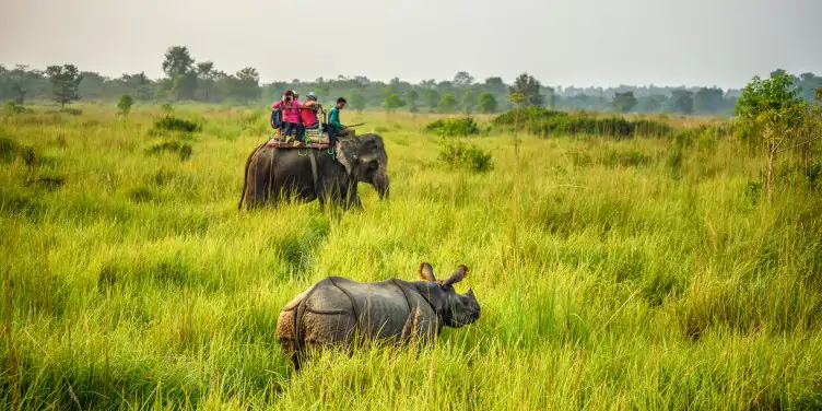 an image of tourists on an elephant safari in Nepal looking at a nearby rhino