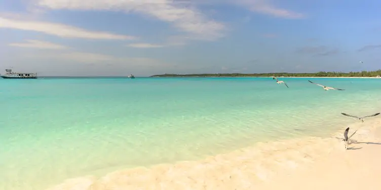 an image of a beach in Half Moon Cay with a cruise ship in the background