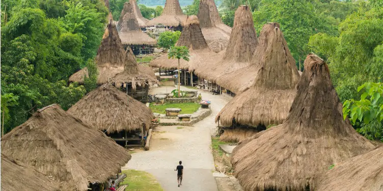 an image of traditional huts in Sumba, Indonesia