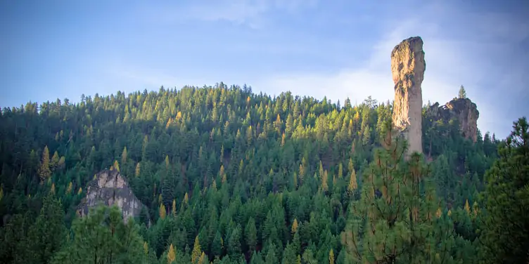 Steins Pillar standing tall from the trees of a forest in Prineville, Oregon