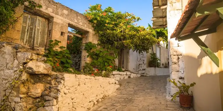 A view of an old building covered in trees in Malia old town