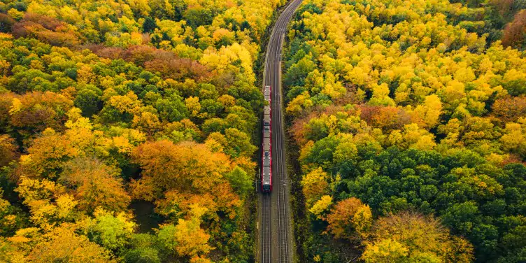 Electric city train running through forest in autumn