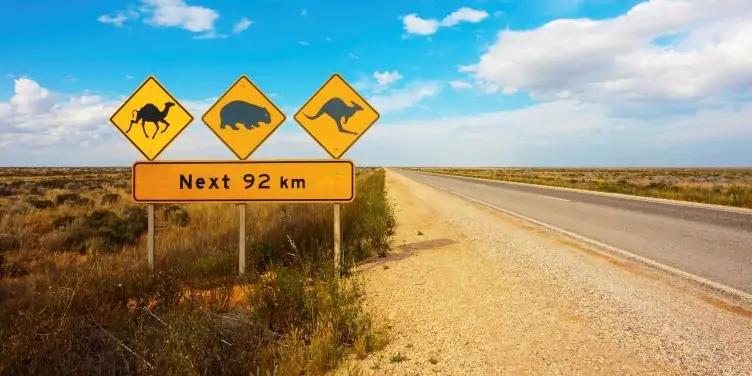 Eyre Highway in Australia on a sunny summer’s day 