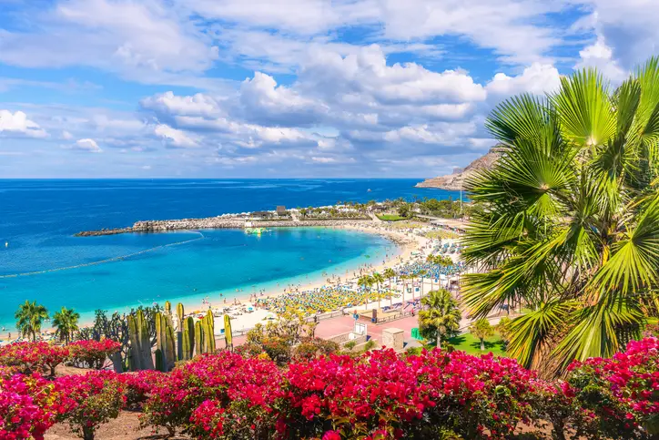 Amadores Beach in Gran Canaria, with turquoise waters, palm trees, and a relaxing atmosphere perfect for a tropical vacation or family getaway.